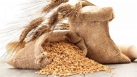 Rabi Foodgrain Output May Surpass Previous Year Record Industrial Outlook