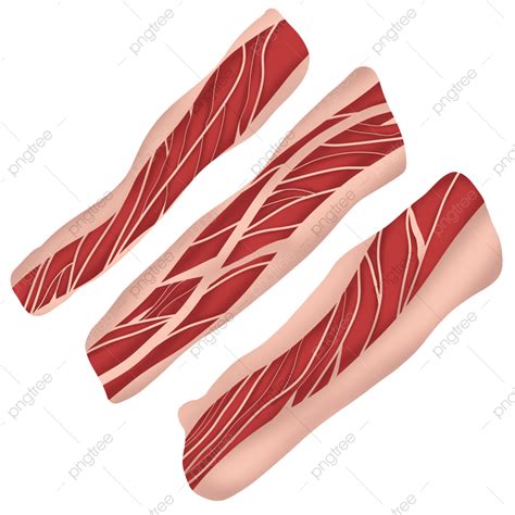 Beefed Clipart Transparent Background Sliced Beef Illustration Beef