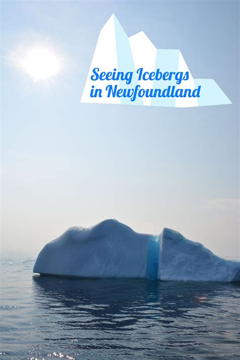 Seeing Icebergs in Newfoundland | Newfoundland travel, Canada travel