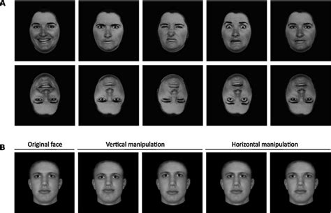 An Illustration Of The Two Tasks A Facial Expression Recognition Task