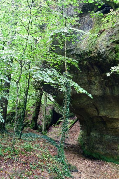 Sentier Roches Nature Mullerthal Luxembourg Photo Stock Image Du