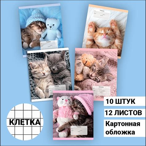 Тетради – купить тетрадку на OZON по низкой цене
