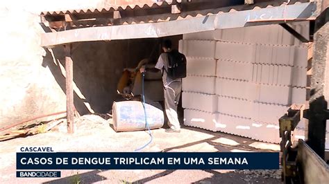 Casos De Dengue Triplicam Em Uma Semana Na Cidade De Cascavel YouTube