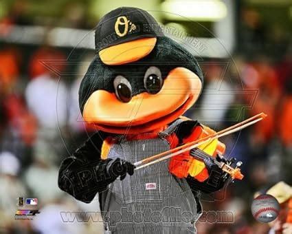 Amazon.com: MLB The Oriole Bird Baltimore Orioles Mascot 2013 Photo 8x10 : Everything Else