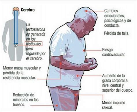 Andropausia El Equivalente Masculino De La Menopausia Blog De Farmacia