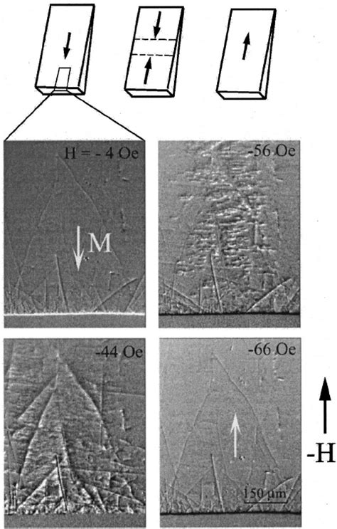 Moif Images Showing The Evolution Of Magnetization Reversal In The