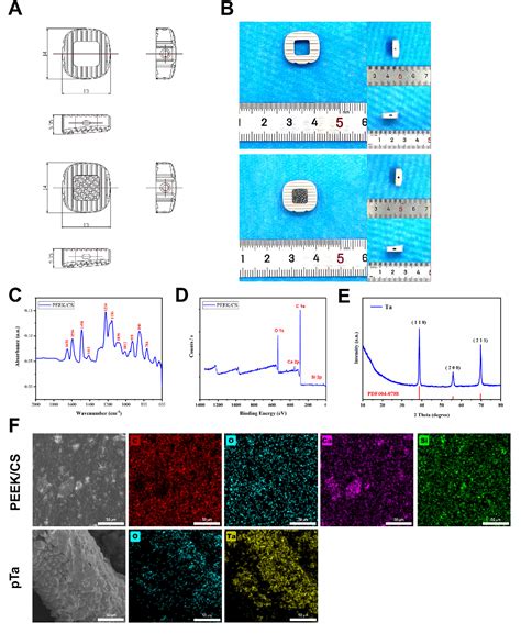 Figure 1 from Evaluation of interbody fusion efficacy and