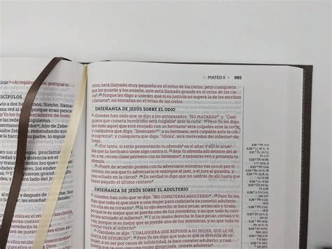 Biblia Nbla Una Columna Referencias Letra Grande Tapa Dura Tela Gris