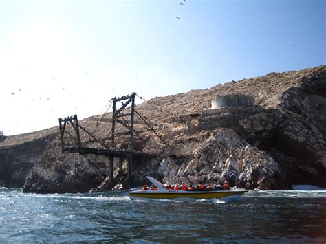 Our Year In Peru Islas Ballestas