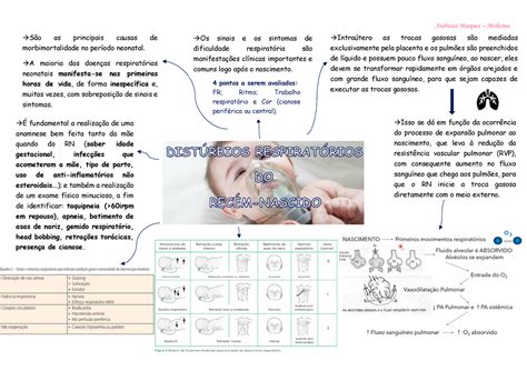 Resumo de neonatologia distúrbios respiratórios do recém nascido