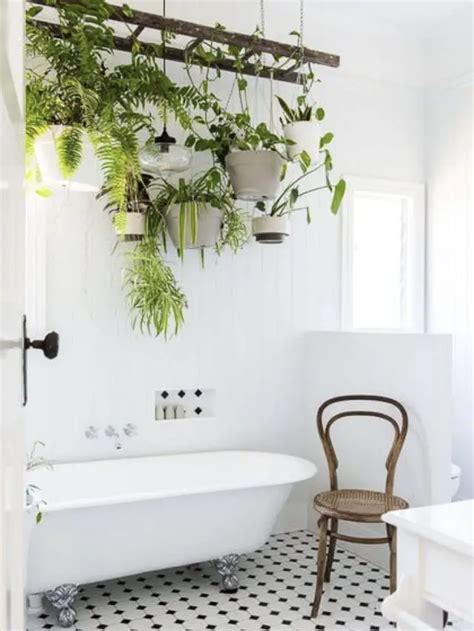 Inspiration déco des plantes vertes dans la salle de bain Cocon