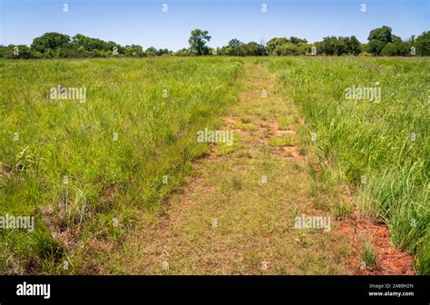 Washita Battlefield National Historic Site Stock Photo - Alamy