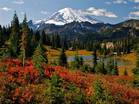 2022 Fall Foliage Peak Map: When To Expect Colorful Leaves In WA ...