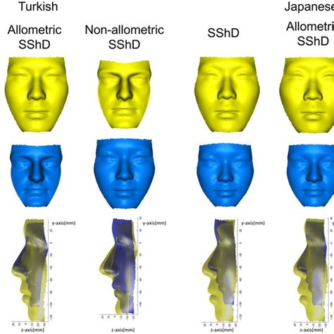 Three Dimensional Visualizations Of Facial Configuration Associated