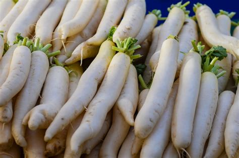 In A Nutshell Eating Radish Daikon Everything Radish