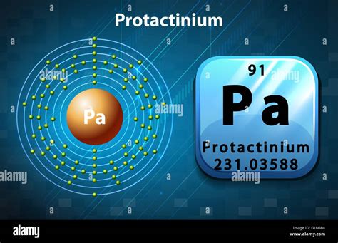 Symbol And Electron Diagram Of Protactinium Illustration Stock Vector