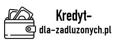 Kredyt Dla Zad U Onych Formularz