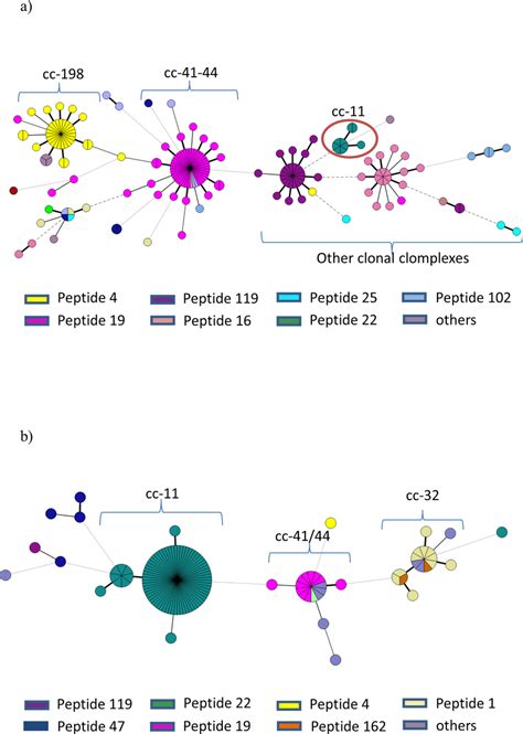 Distribution Of FHbp Peptides Within Clonal Complexes Of NM Isolates