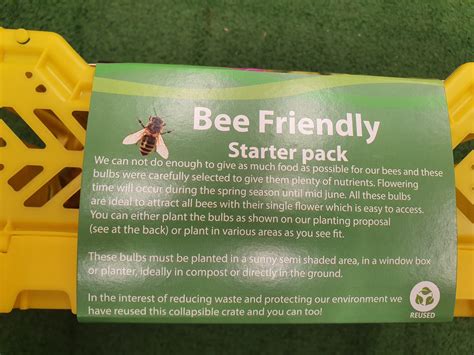 Bee Friendly Starter Pack - Beechmount Garden Centre