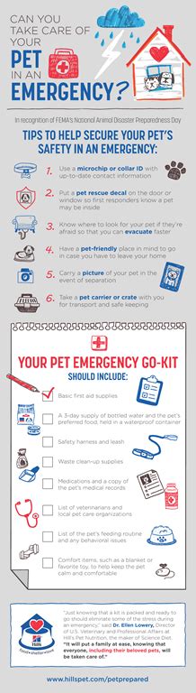 Diy Disaster Preparedness Kit For Pets Petprepared Irresistible Pets