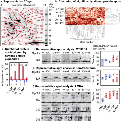 Analysis of differentially expressed fetal ovarian proteins following ... 