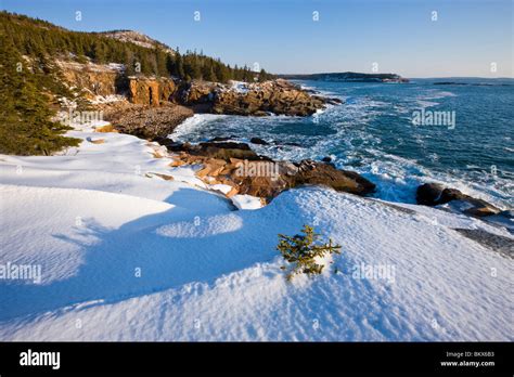 A Winter Morning On The Maine Coast In Acadia National Park Ocean