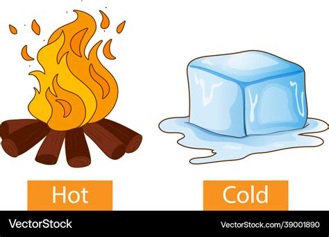 Opposite Adjectives Words With Hot And Cold Vector Image