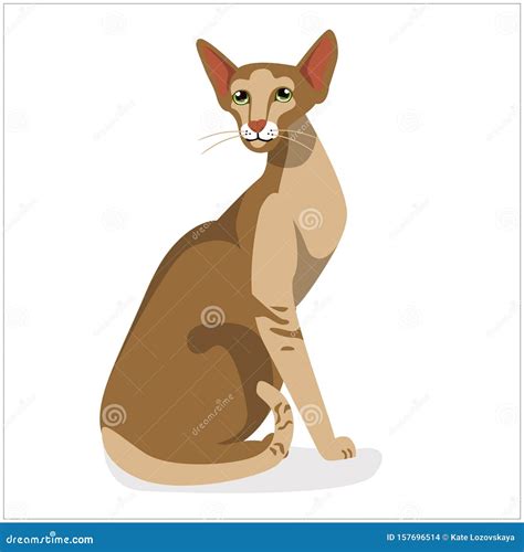 Siamese Cat. Cat Breed. Favorite Pet. Lovely Fluffy Kitten With Green