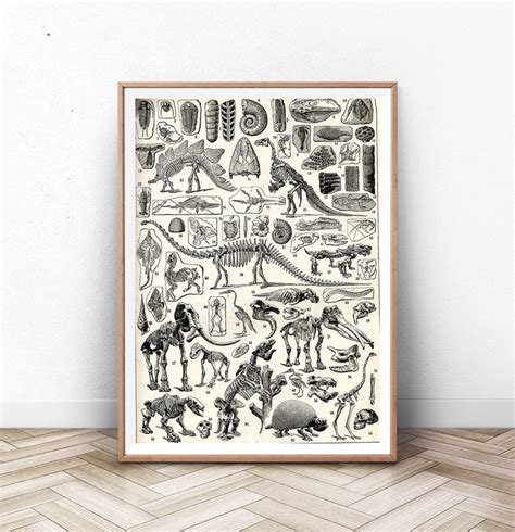 An Illustration Of Dinosaurs And Other Animals In Black Ink On White