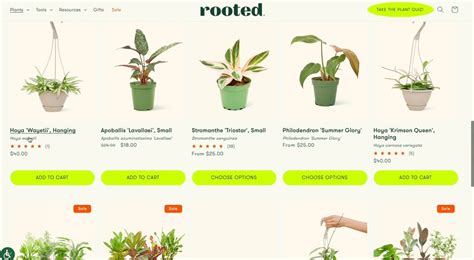 One of 100s of Shopify examples: Rooted Collections
