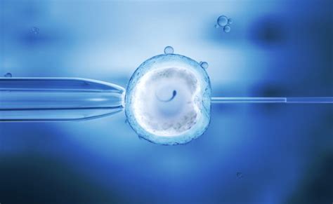 Assisted Reproductive Technology Art