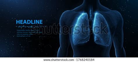 38,007 Blue Lungs Royalty-Free Images, Stock Photos & Pictures ...