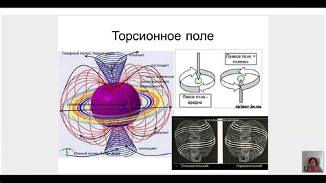ШДР урок 20 Торсионные поля и квантовые законы сознания - YouTube