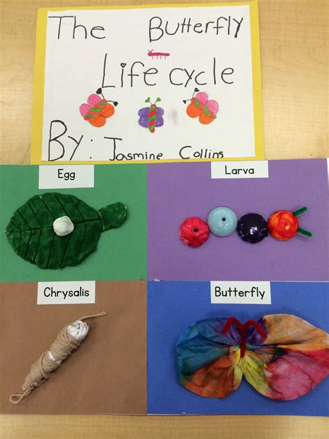 The Butterfly Life Cycle Shown In 3d Art Using Different Medias This