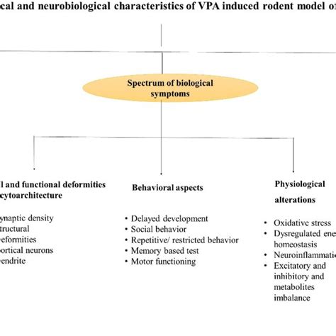 Validation Of Valproic Acid Vpa Induced Rodent Model Of Autism