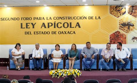 Presentarán PRD y sociedad iniciativa para crear la Ley Apícola de Oaxaca