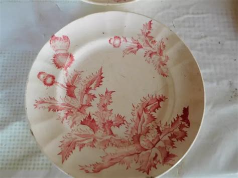 Ancienne Assiette Longchamp Terre De Fer Modele Chardon Dessin Vieux