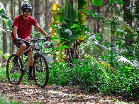 Beginner’s Guide for Cross Country MTB - Rodalink