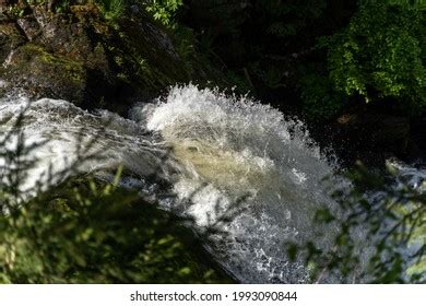 High Angle Shot Magnificent Triberg Waterfall Stock Photo