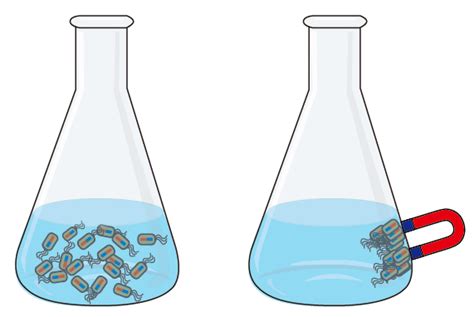 Team:Kyoto/Project/Magnetosome Formation - 2014.igem.org