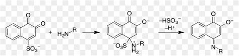 Folin Reaction - Folin Ciocalteu Reagent Phenol, HD Png Download - 3862x790(#3098676) - PngFind