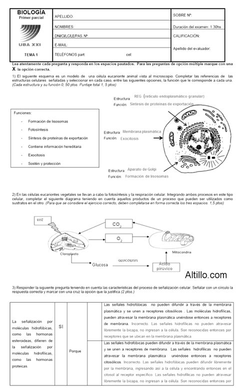 Parcial A Biolog A Uba Xxi