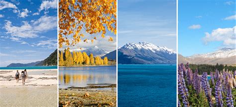 Climate New Zealand Information