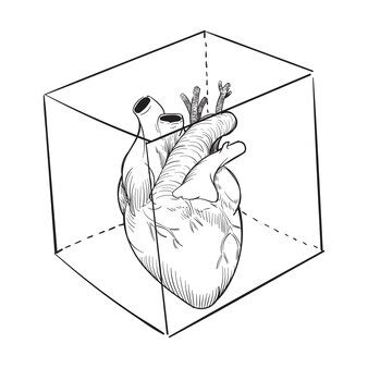 human heart drawing steps