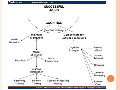 Cognitive And Metacognitive Strategies