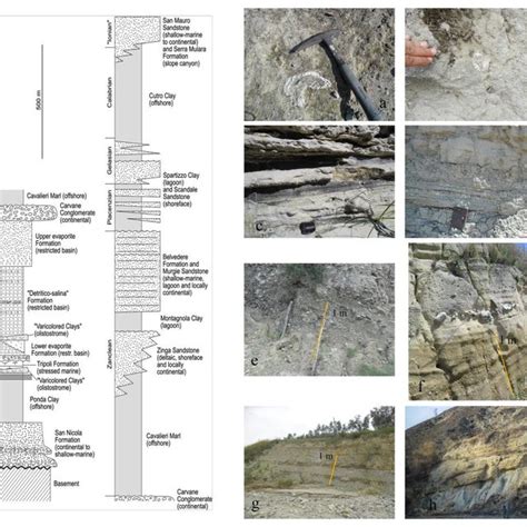 Stratigraphic Column Of The Crotone Basin Zecchin Et Al 2013 And