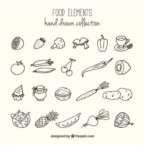 Premium Vector | Sketches variety of healthy food