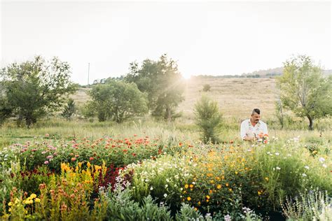 Wild Nectar Farm