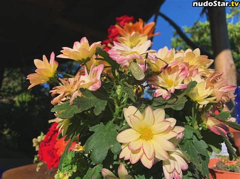 Erin Ashford Erinashford Erinofashford Https Nude Onlyfans Photo Nudostar Tv