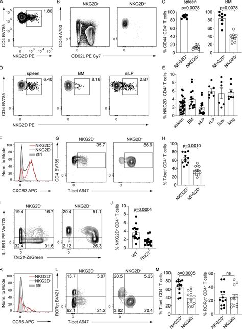 NKG2D Is Expressed On Antigen Experienced CD4 T Cells In Steady State